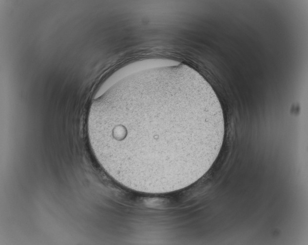 X0000112360268200909241133
