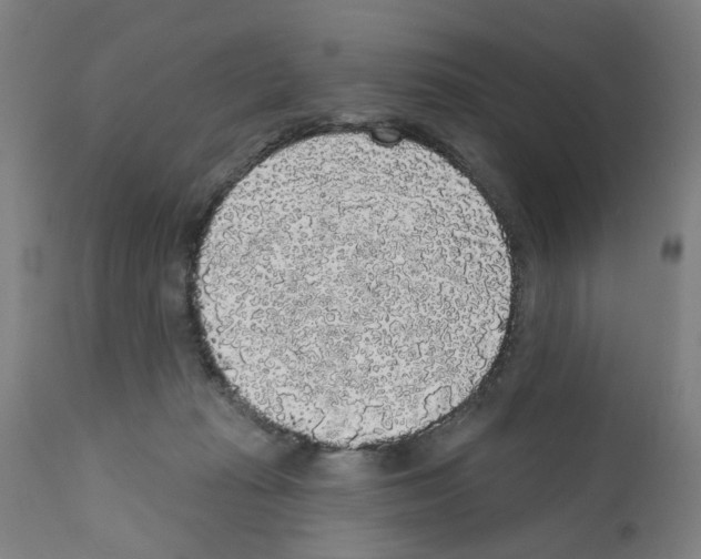 X0000112360269200909241133