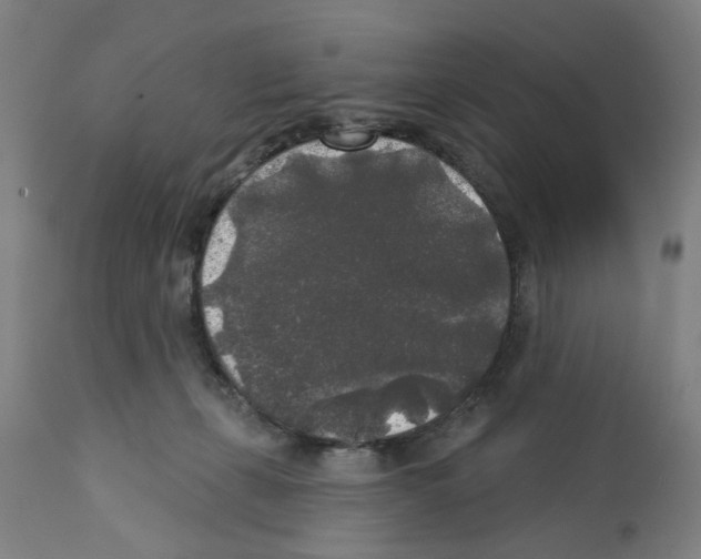 X0000112360271200909241133
