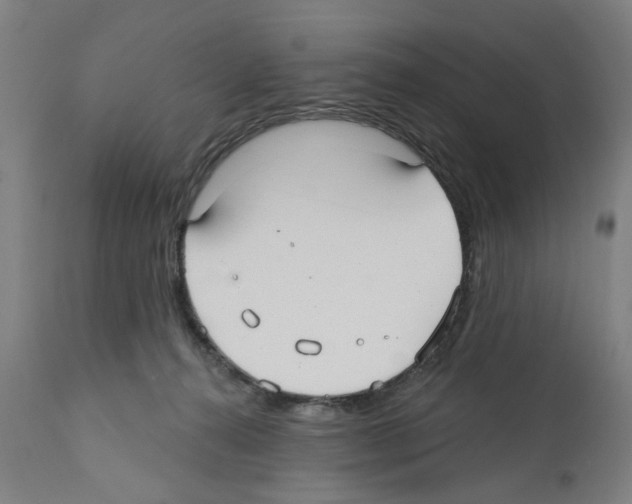 X0000112360272200909241133