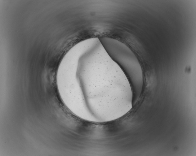 X0000112360276200909241133