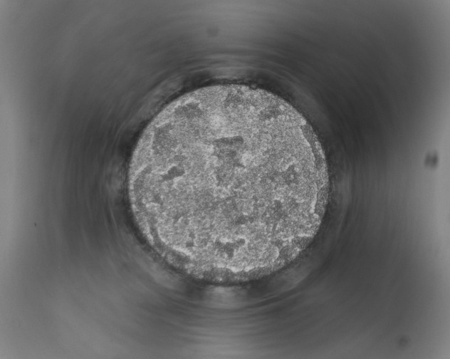 X0000112360277200909241133
