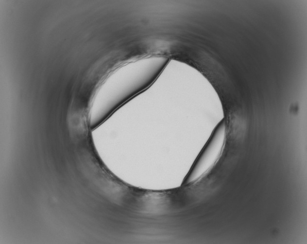 X0000112360280200909241133