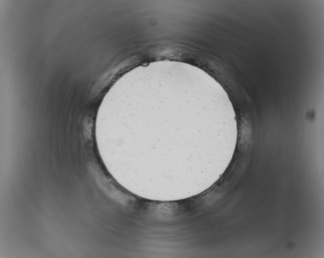 X0000112360282200909241133