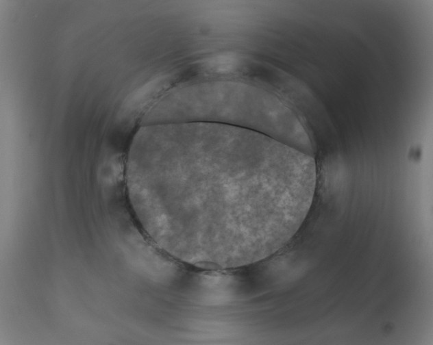 X0000112360284200909241133