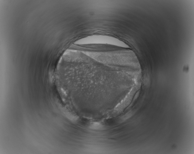 X0000112360285200909241133