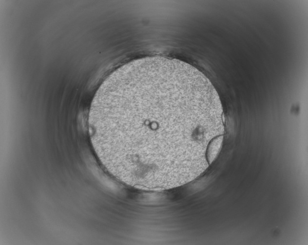 X0000112360286200909241133