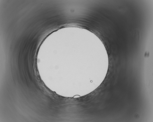 X0000112360289200909241132