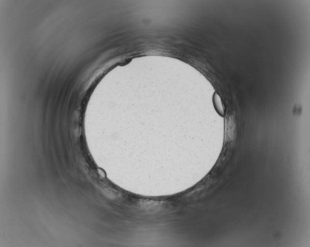 X0000112360291200909241132
