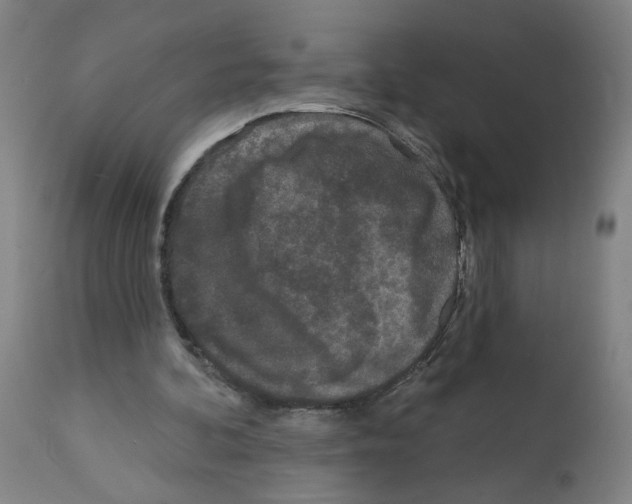 X0000112360292200909241132