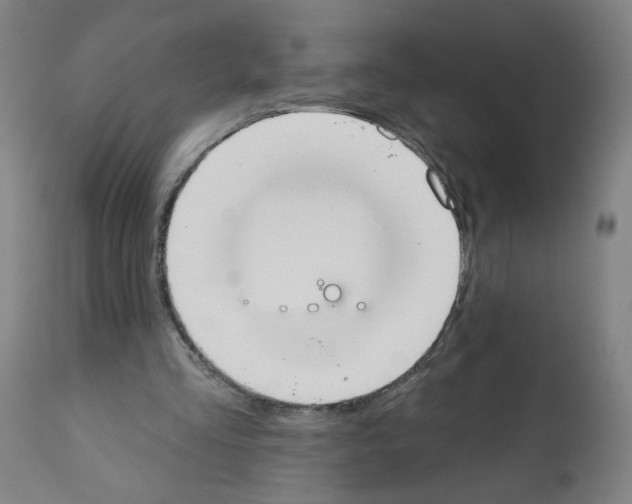 X0000112360293200909241132