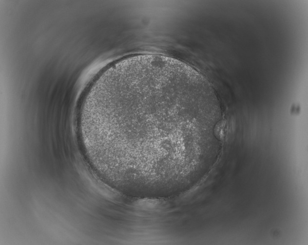 X0000112360294200909241132