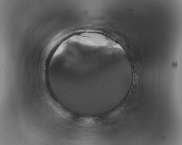 X0000112360295200909241132