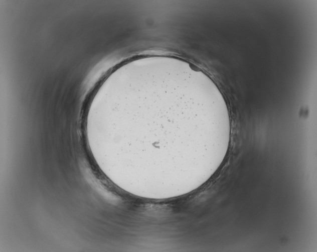 X0000112360296200909241132