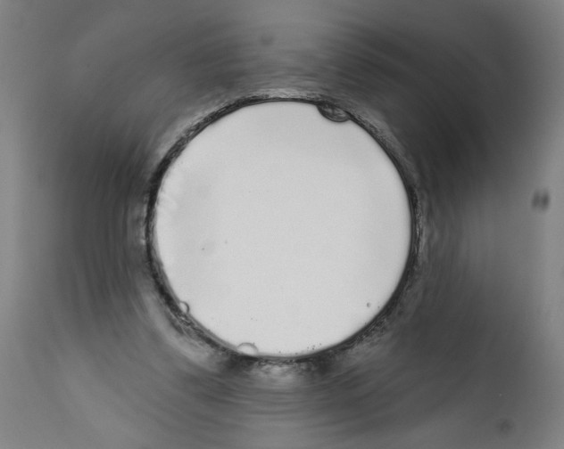 X0000112360299200909241132
