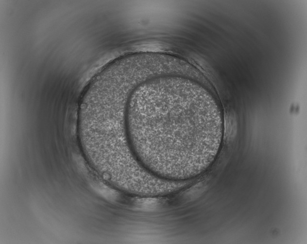 X0000112360301200909241132