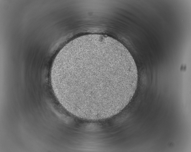 X0000112360303200909241132