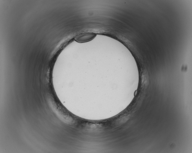 X0000112360304200909241132