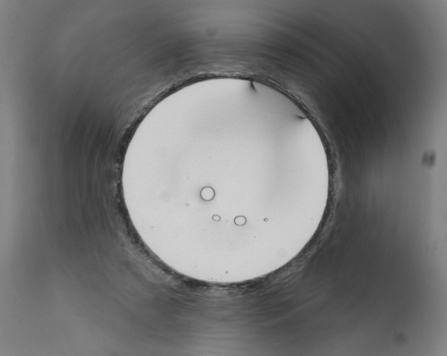 X0000112360305200909241132