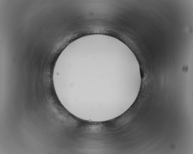 X0000112360306200909241132