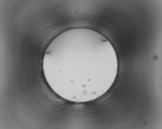 X0000112360309200909241132