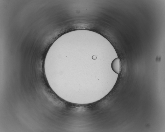 X0000112360310200909241132