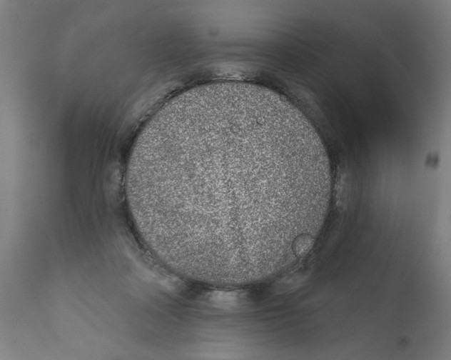 X0000112360314200909241132