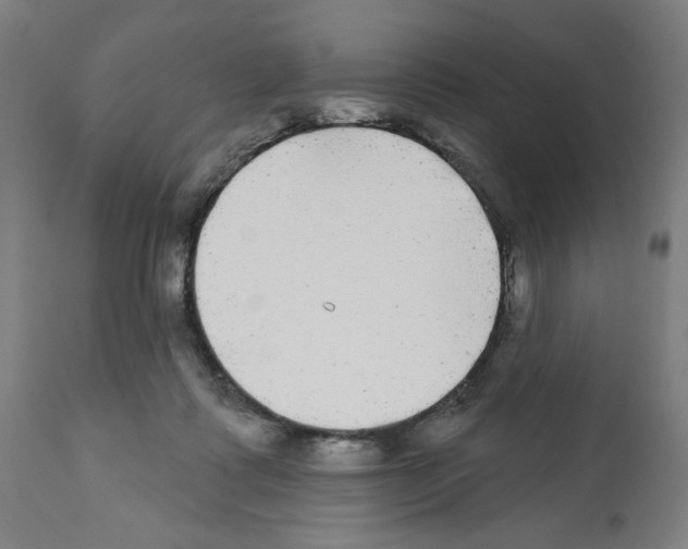 X0000112360315200909241132