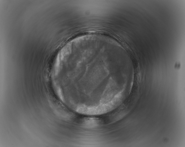 X0000112360316200909241132