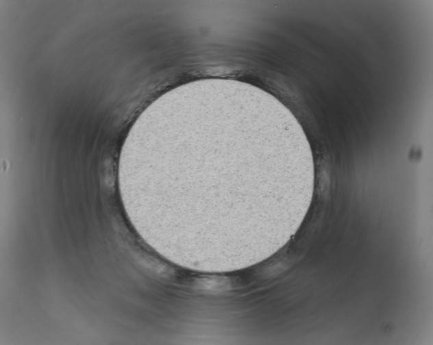 X0000112360317200909241132