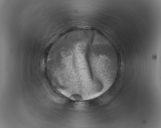 X0000112360320200909241132