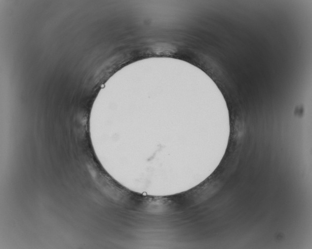 X0000112360321200909241132