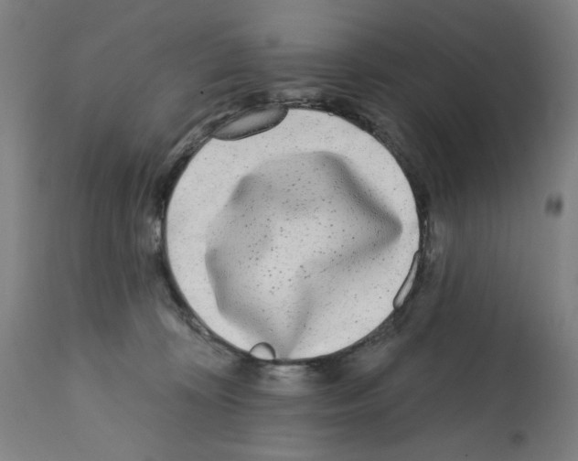 X0000112360324200909241132