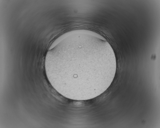 X0000112360325200909241132