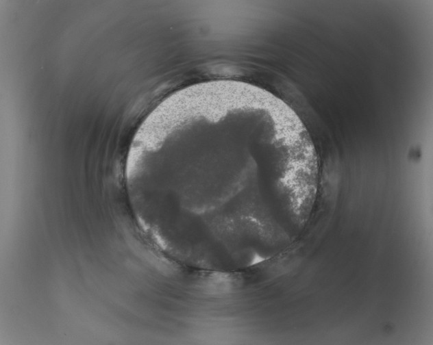 X0000112360330200909241132