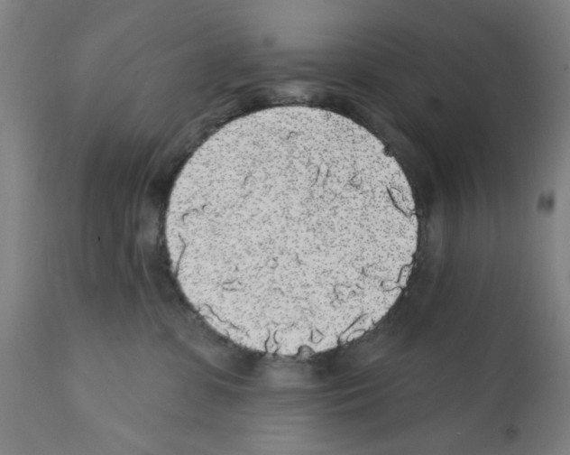 X0000112360331200909241132