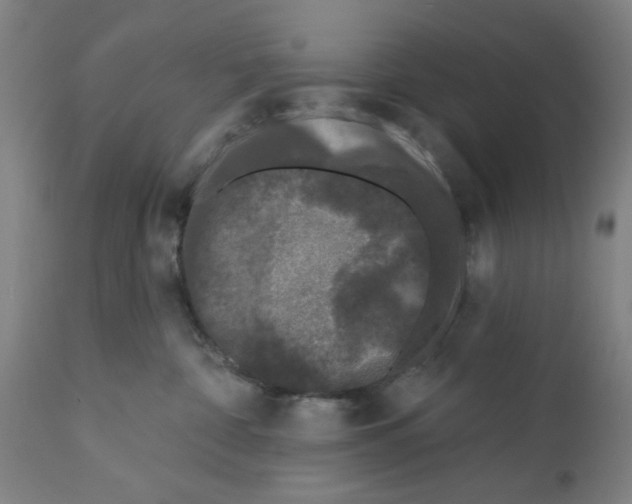 X0000112360332200909241132