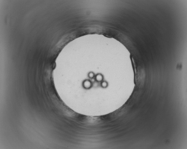 X0000112360333200909241132