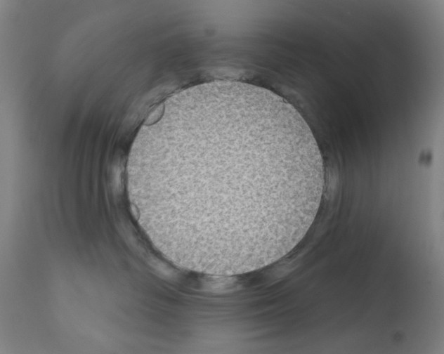 X0000112360334200909241132