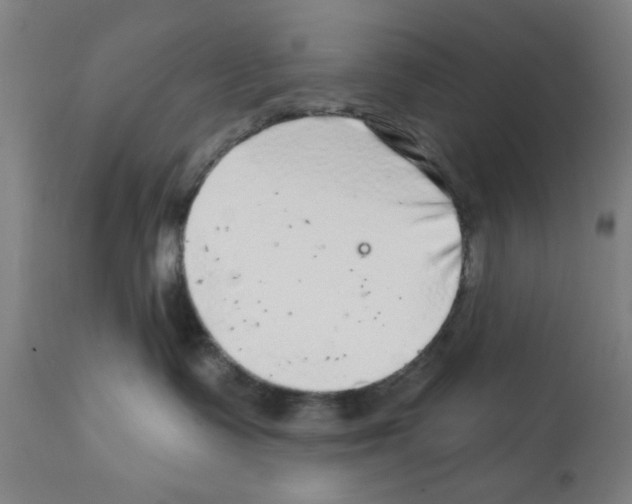 X0000112360335200909241132