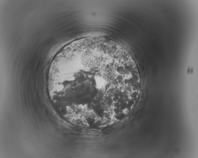 X0000112360337200909241131