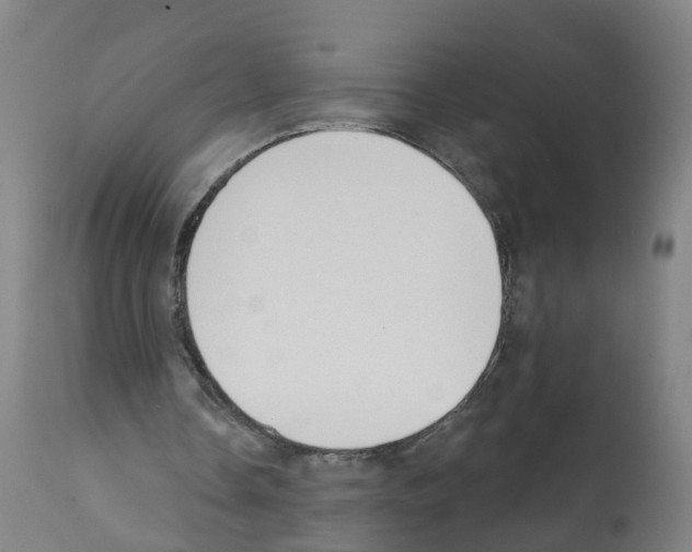 X0000112360338200909241131