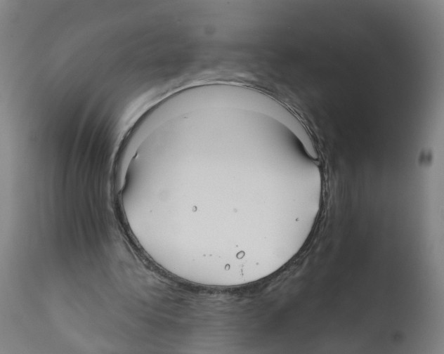 X0000112360340200909241131