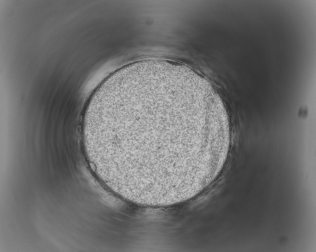 X0000112360341200909241131