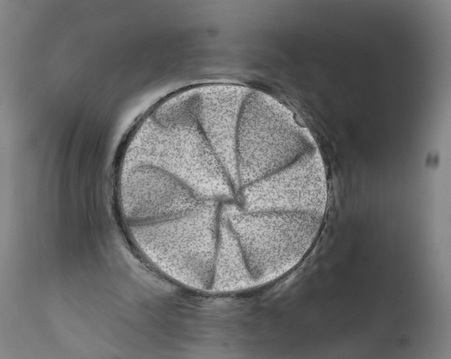 X0000112360342200909241131
