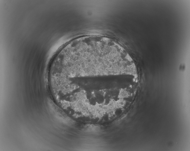 X0000112360343200909241131