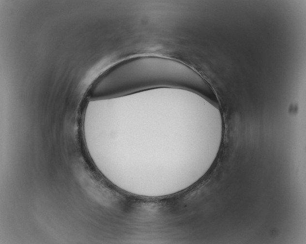 X0000112360344200909241131