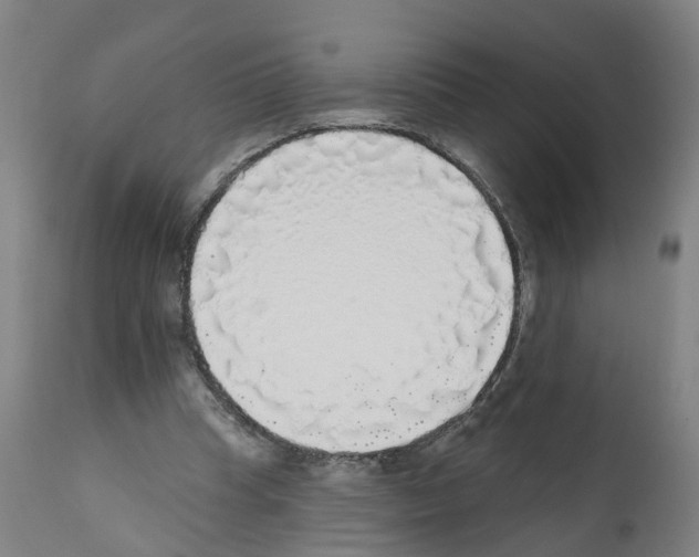 X0000112360345200909241131