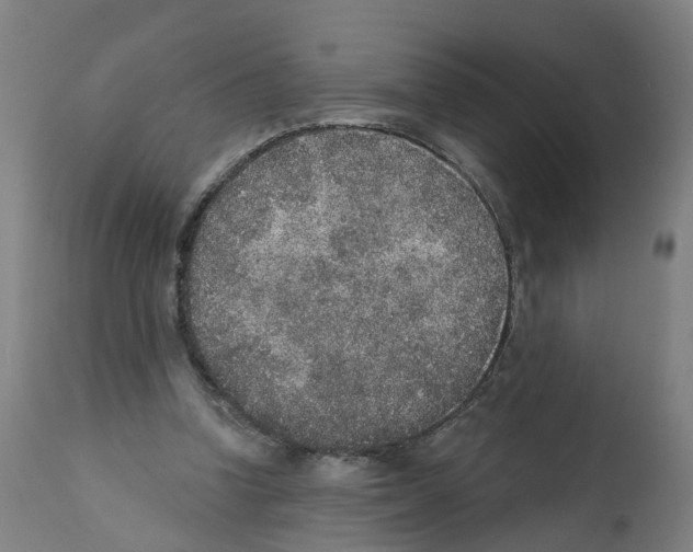 X0000112360346200909241131