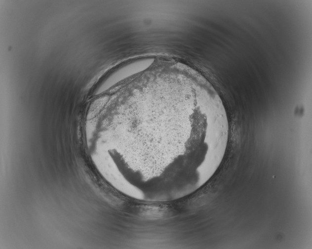 X0000112360347200909241131